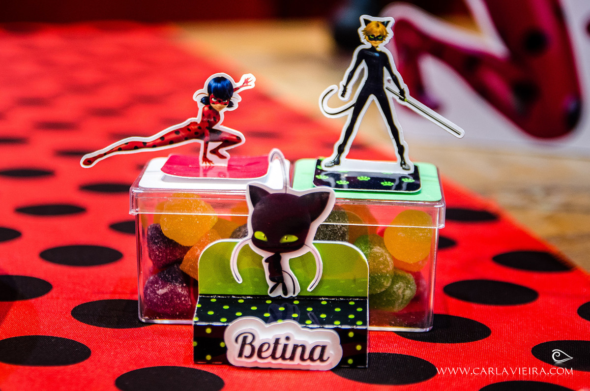 Festa Infantil; Lady Bug; Fotógrafa de Família; Carla Vieira Fotografia