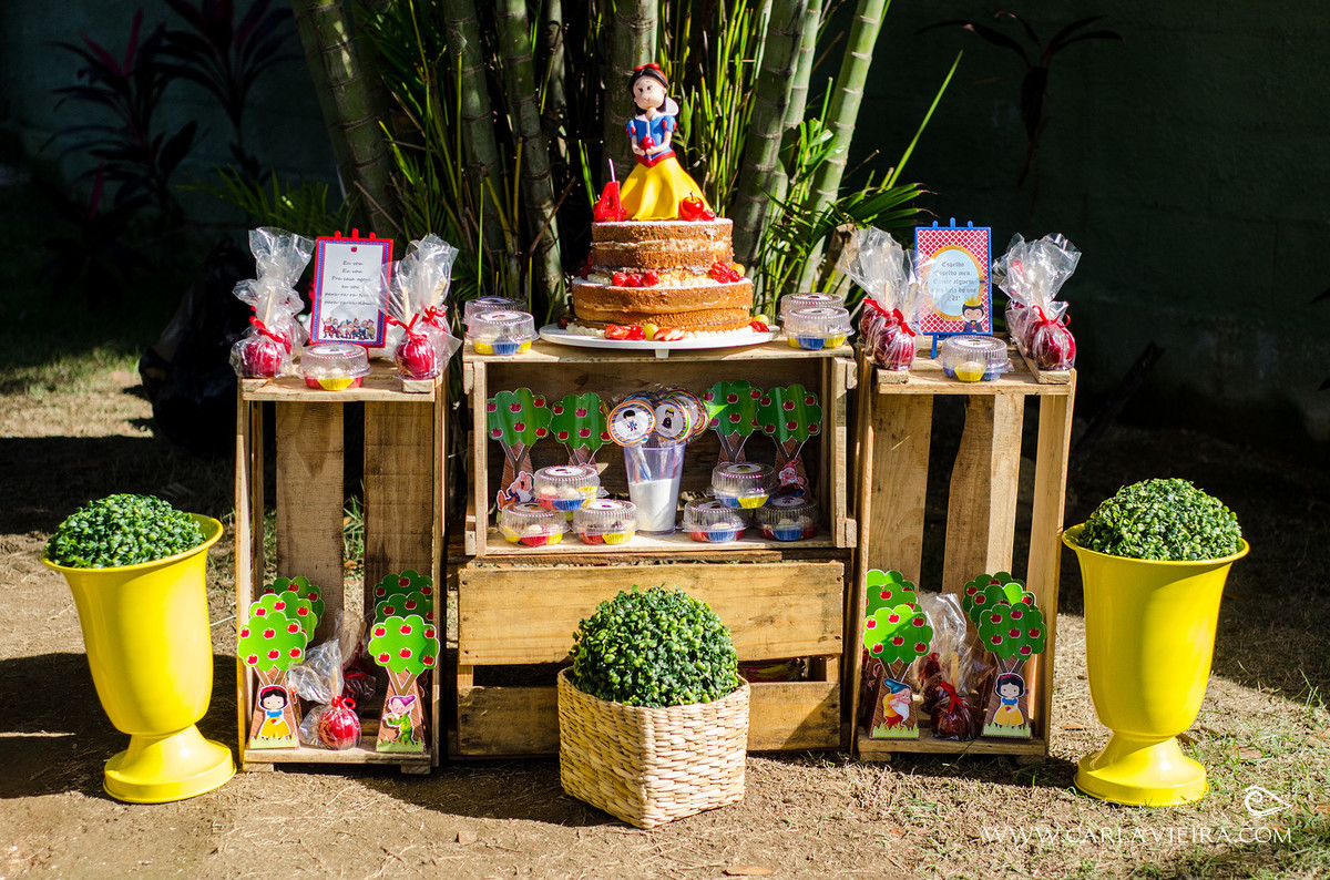 Festa Infantil; piquenique; festa no parque; Branca de Neve; Carla Vieira Fotografia