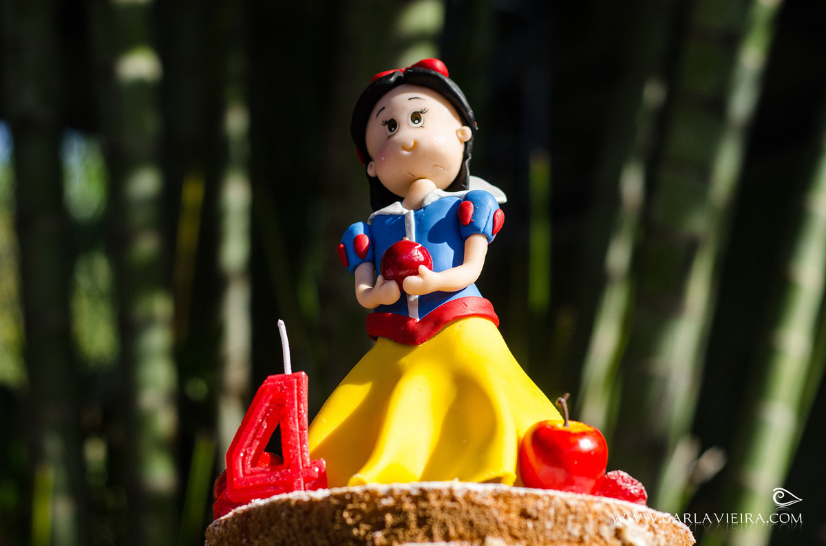 Festa Infantil; piquenique; festa no parque; Branca de Neve; Carla Vieira Fotografia