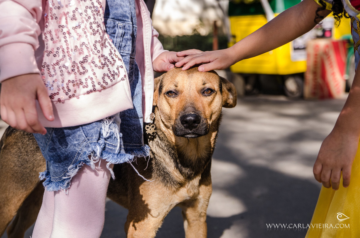 Festa Infantil; piquenique; festa no parque; Branca de Neve; Carla Vieira Fotografia