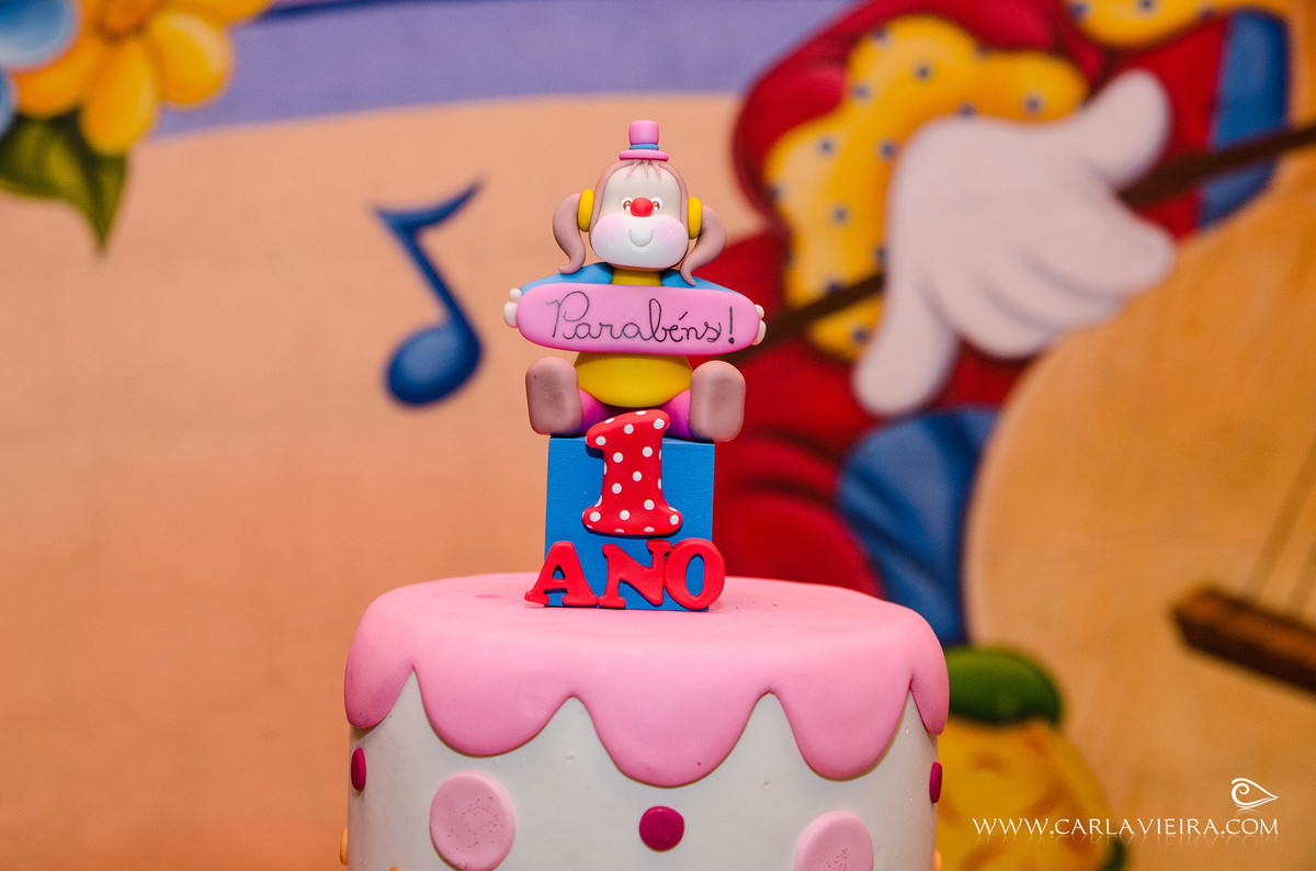 Festa Infantil; circo; tema circo; fotografia de família; Carla Vieira Fotografia