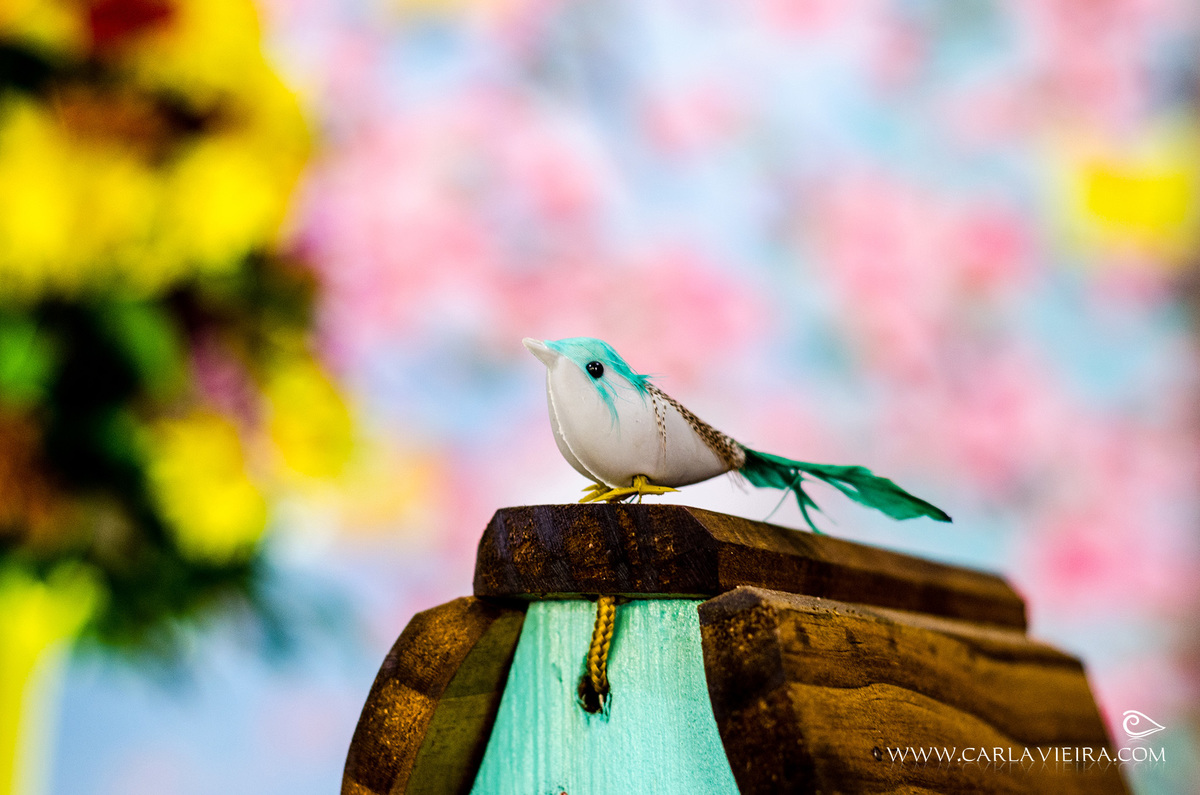 Festa Infantil; aniversário; festa; fotografia de festa; fotografia de família