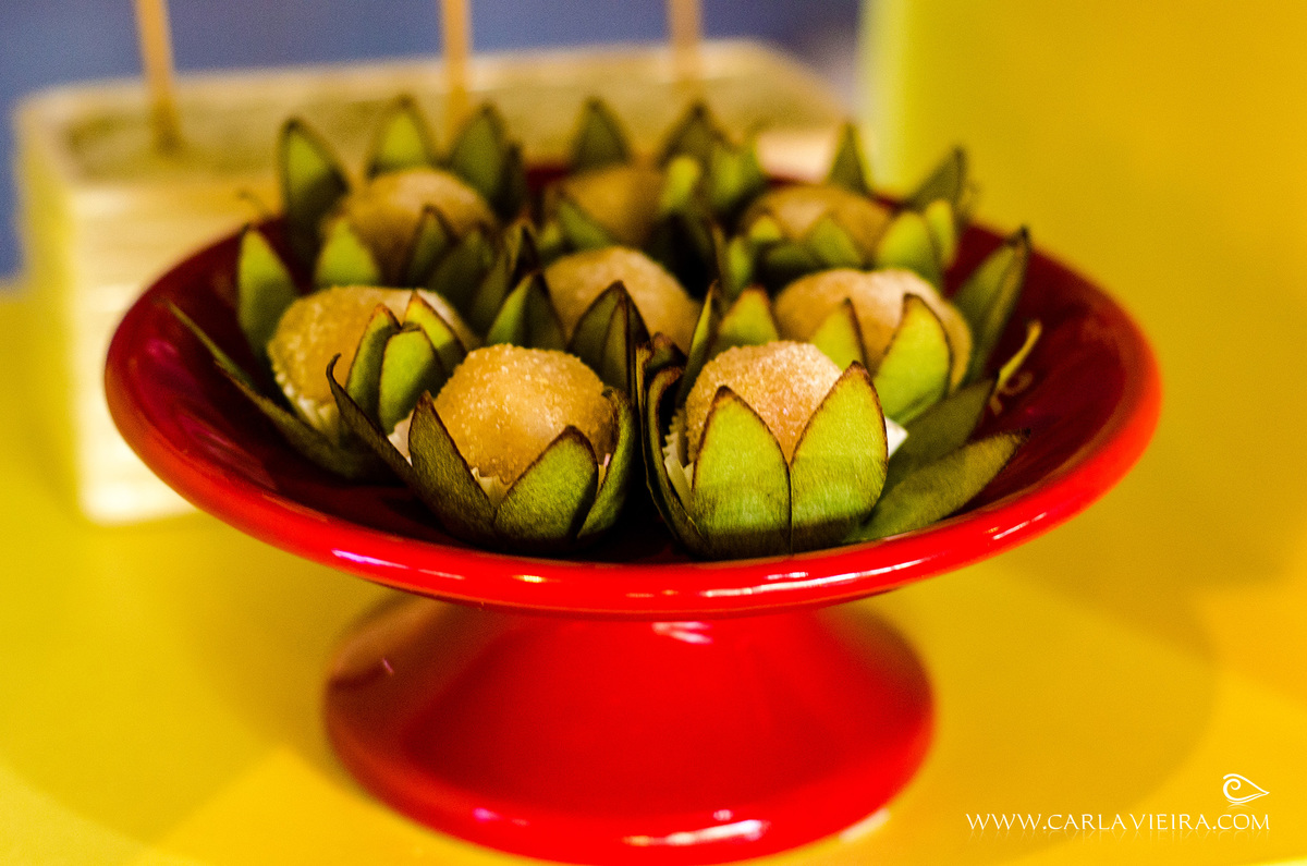 João Vítor - 2 anos; festa infantil; aniversário;  tema avião; festa no play; carla vieira fotografia