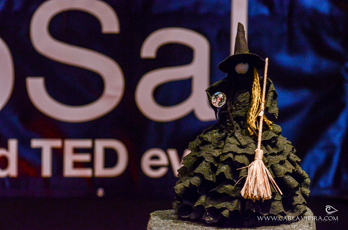 TED x - Pedra do Sal realizado no MAR - RJ