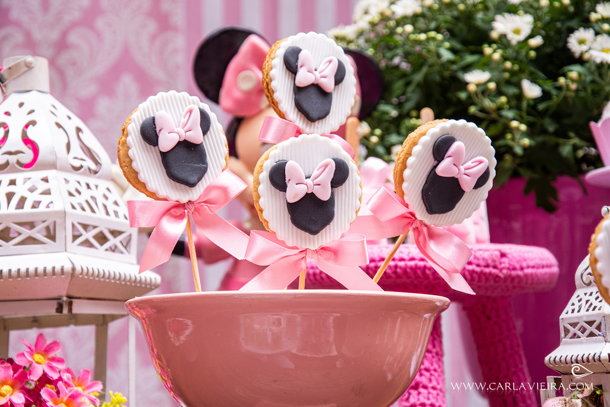 Festa de primas
festa dupla; dois irmãos; festa de primos; festa de gêmeos; tema minie; carla vieira fotografia