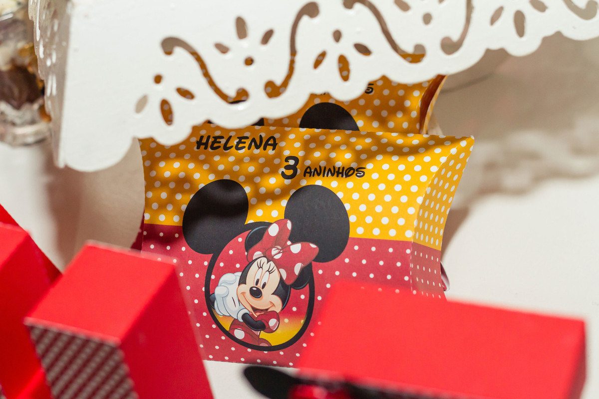 Scrapbook caixa personalizada Tema Minnie pelo fotógrafo Douglas Maia