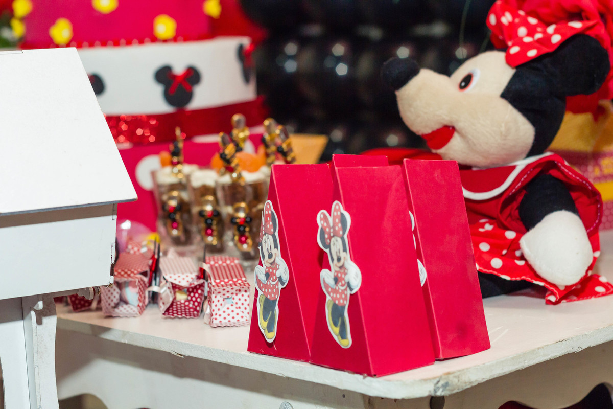 Scrapbook caixas Tema Minnie pelo fotógrafo Douglas Maia