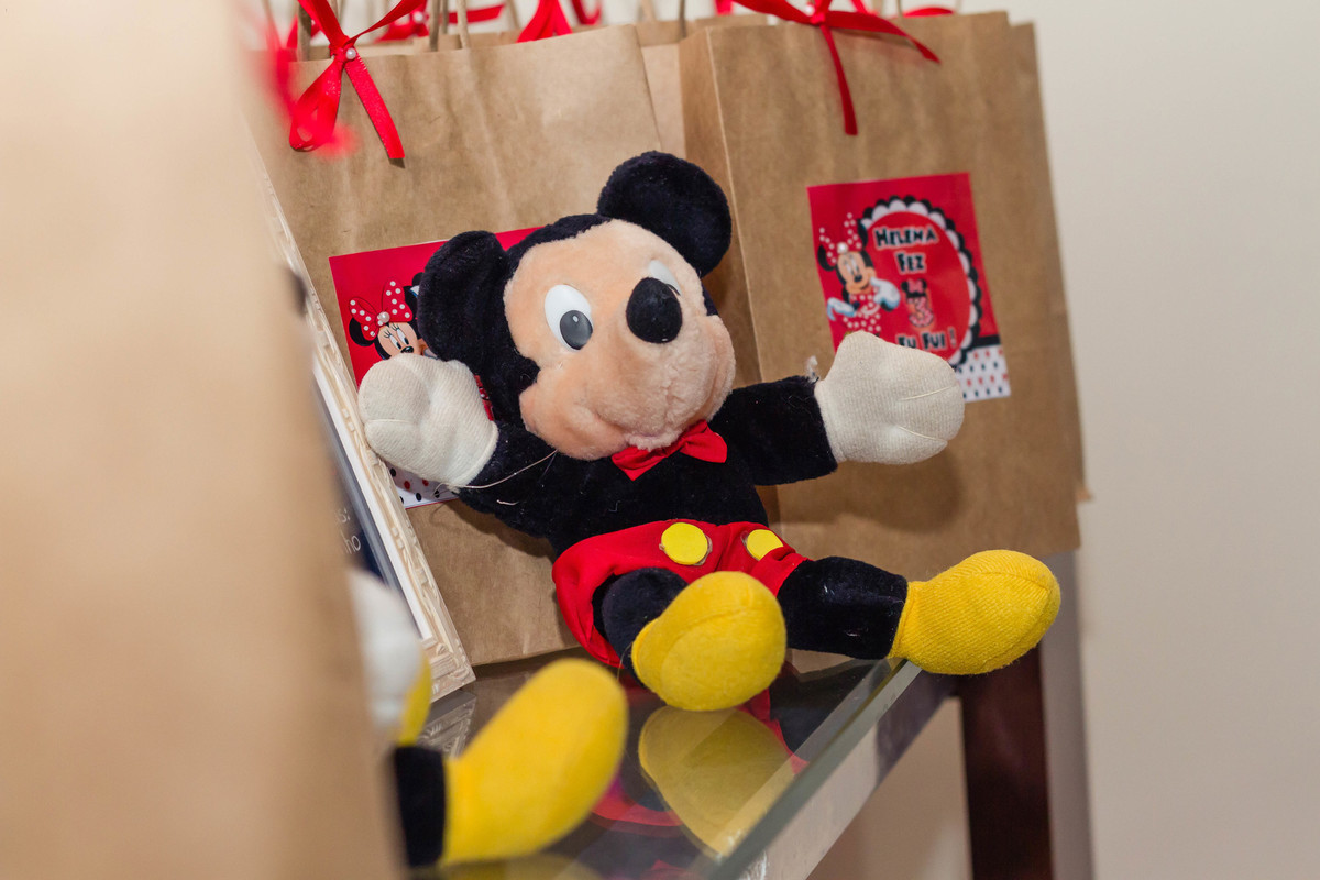 Mickey e sacolas de lembrancinhas pelo fotógrafo Douglas Maia