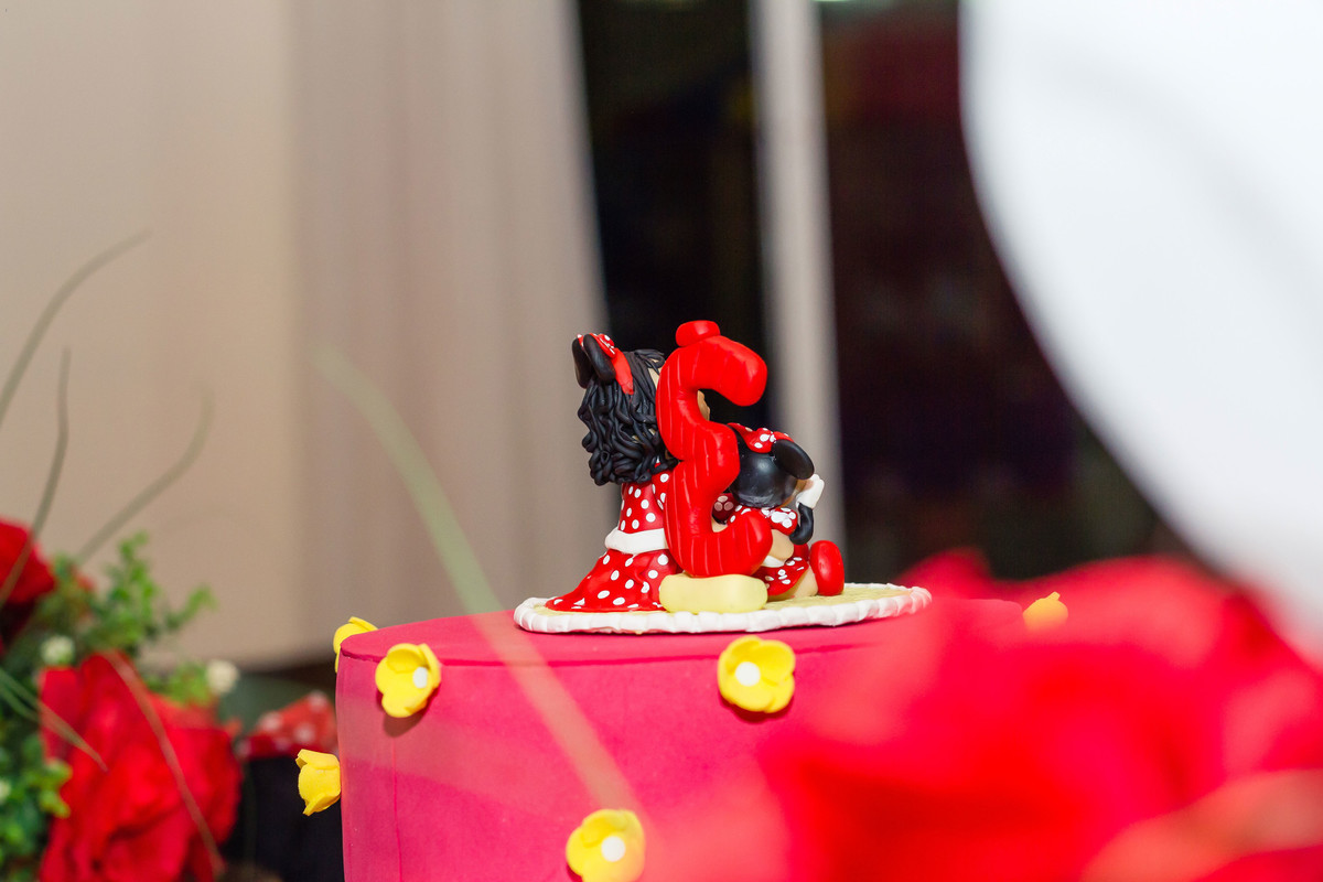 Boneca Bolo 3 anos Tema Minnie pelo fotógrafo Douglas Maia
