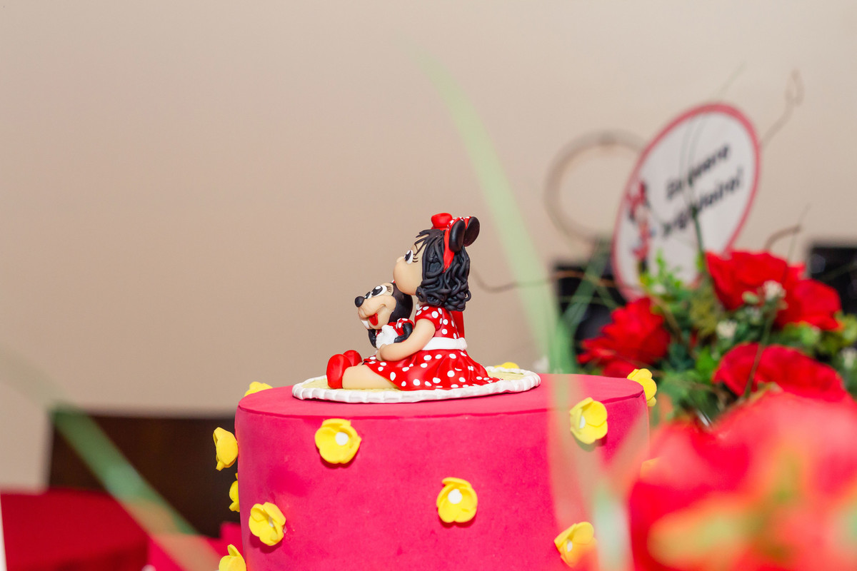 Enfeite bolo Tema Minnie pelo fotógrafo Douglas Maia