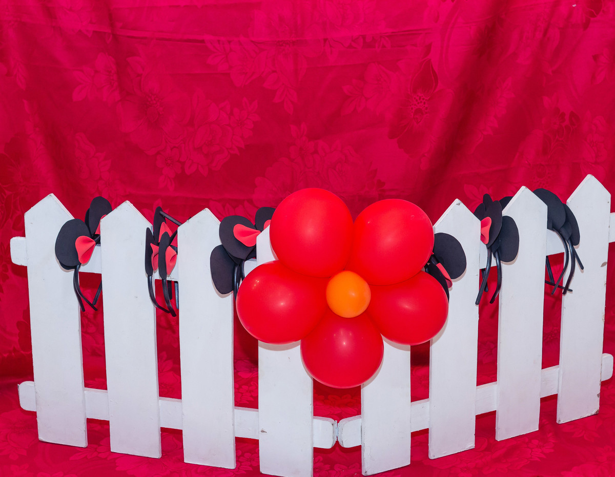 Cerca com tiaras da Minnie pelo fotógrafo Douglas Maia