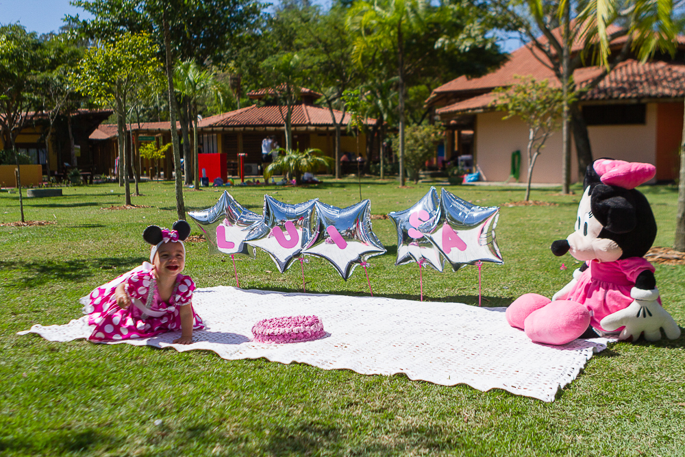 Smash the cake Tema Minnie da Luísa pelo fotógrafo Douglas Maia