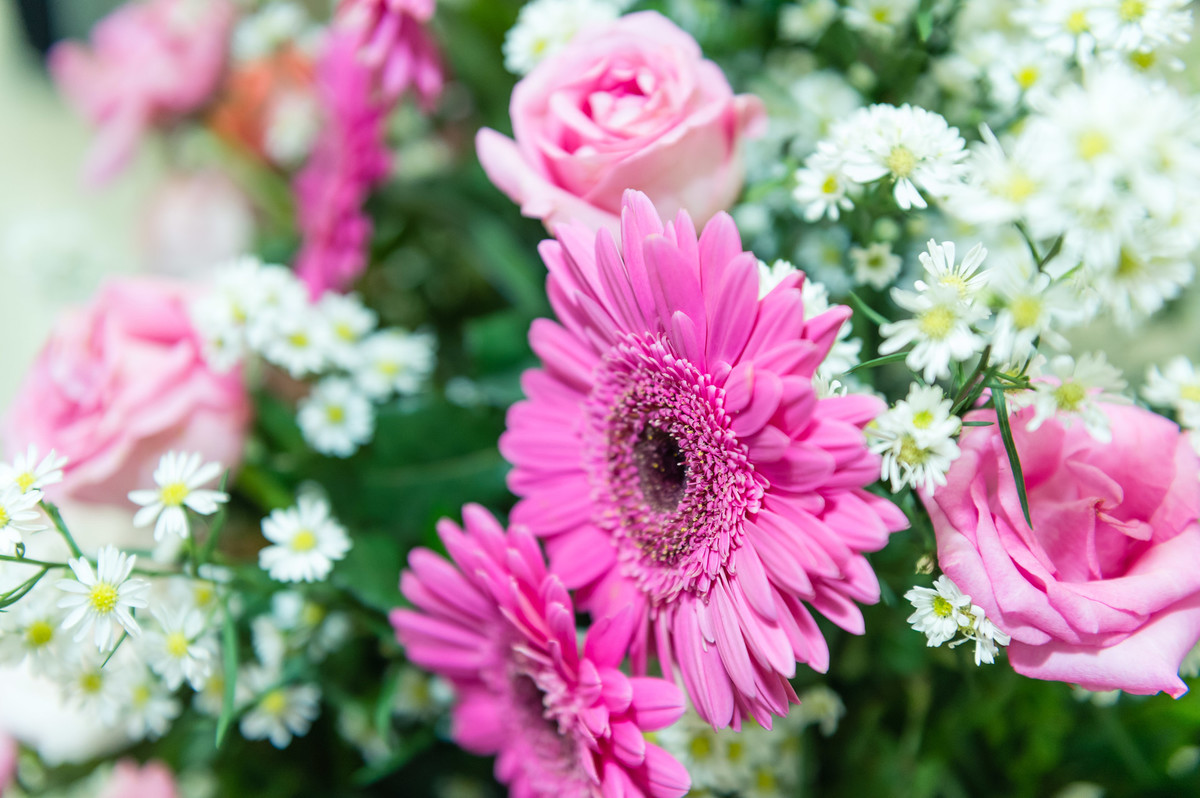 Bodas de Prata pelo fotógrafo Douglas Maia