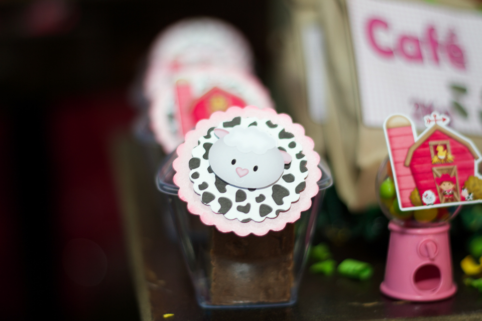 Caixa acrílico personalizada Fazendinha da Lara pelo fotógrafo Douglas Maia