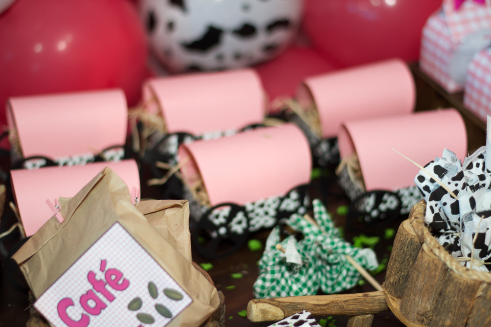 Charrete Fazendinha da Lara pelo fotógrafo Douglas Maia