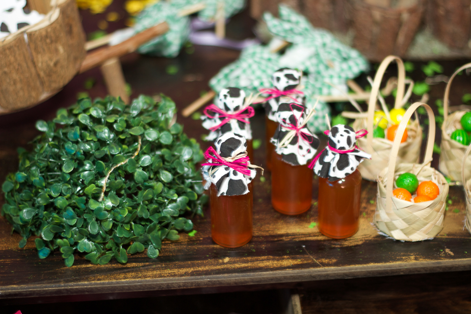 Garrafinha Fazendinha da Lara pelo fotógrafo Douglas Maia