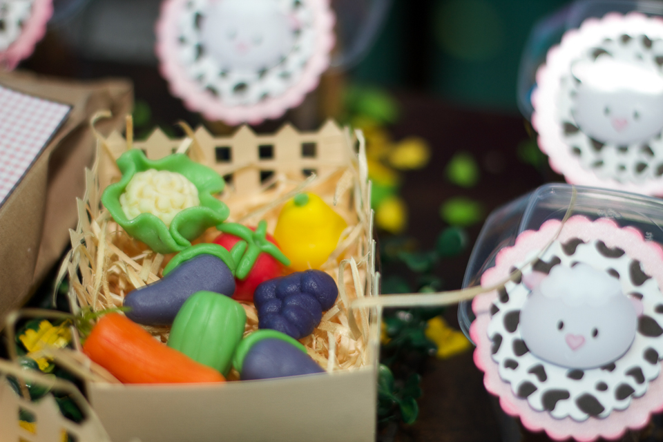 Cesta com legumes Decoração Fazendinha da Lara pelo fotógrafo Douglas Maia