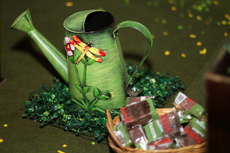 Regador Decoração Fazendinha da Lara pelo fotógrafo Douglas Maia