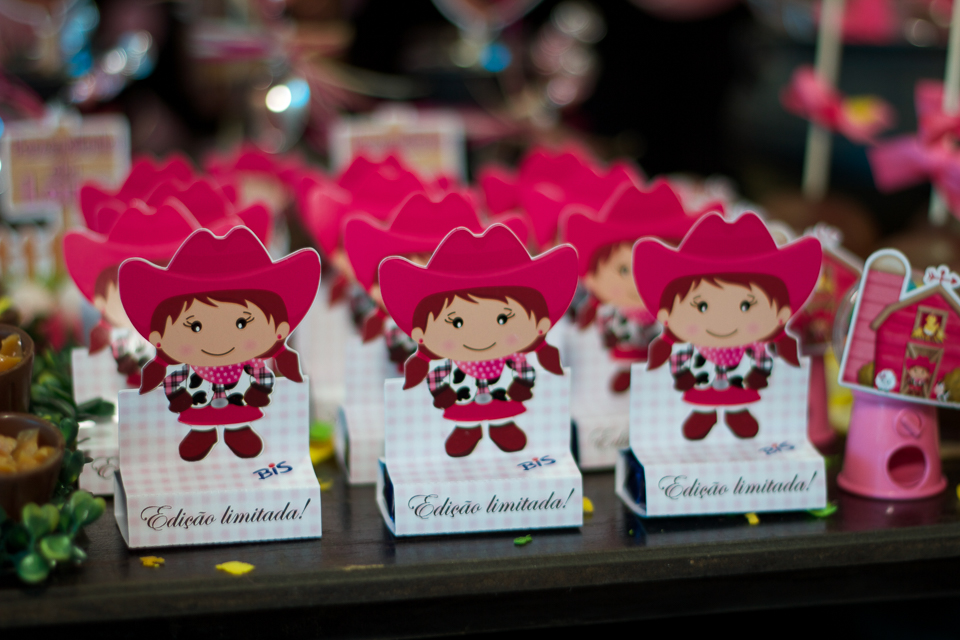 Scrapbook caixa Bis Tema Fazendinha pelo fotógrafo Douglas Maia