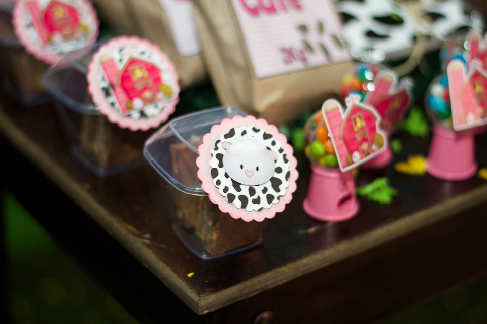 Scrapbook caixa acrílico Tema Fazendinha pelo fotógrafo Douglas Maia