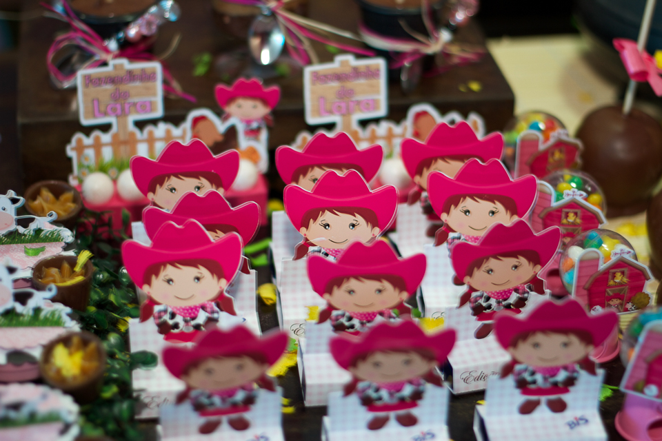 Caixa Bis Fazendinha da Lara pelo fotógrafo Douglas Maia