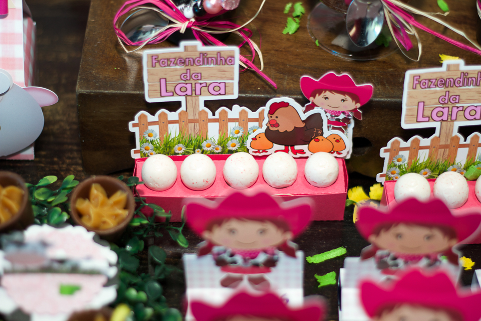 Ovinhos na decoração Tema Fazendinha da Lara pelo fotógrafo Douglas Maia