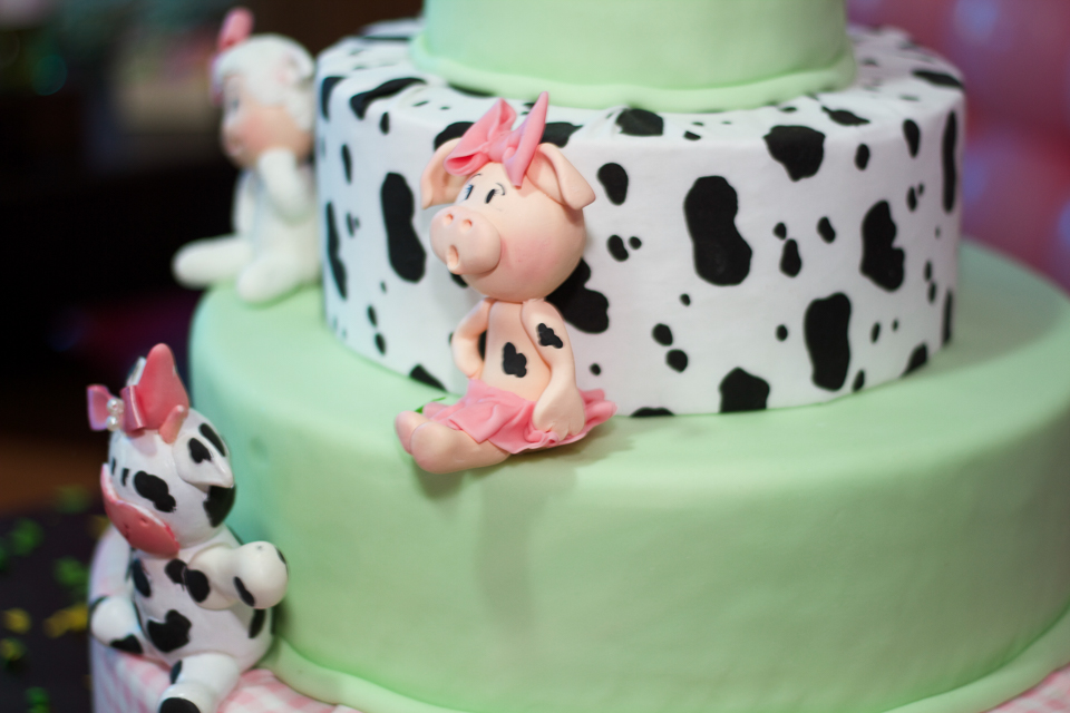 Porquinho e vaquinha na decoração do bolo Tema Fazendinha pelo fotógrafo Douglas Maia