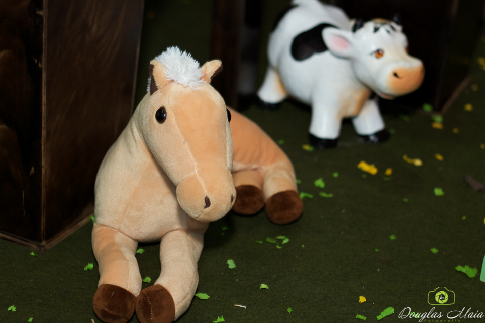 Cavalo de pelúcia Decoração Fazendinha pelo fotógrafo Douglas Maia