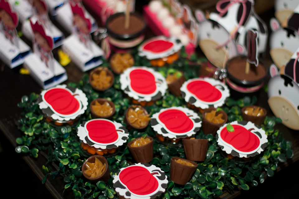 Doces personalizados Tema Fazendinha da Lara pelo fotógrafo Douglas Maia