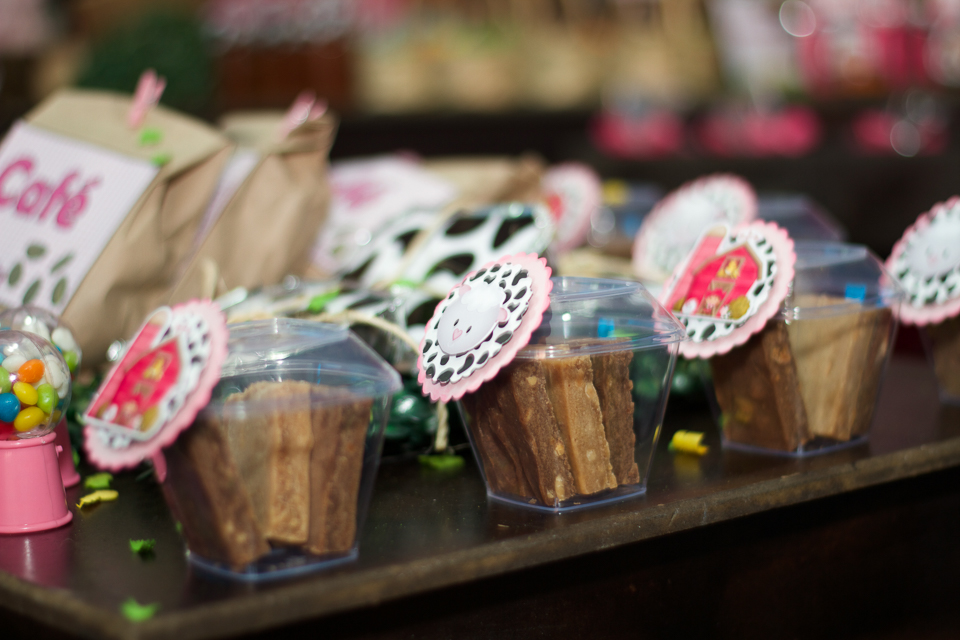 Caixa acrílico com doce Tema Fazendinha pelo fotógrafo Douglas Maia