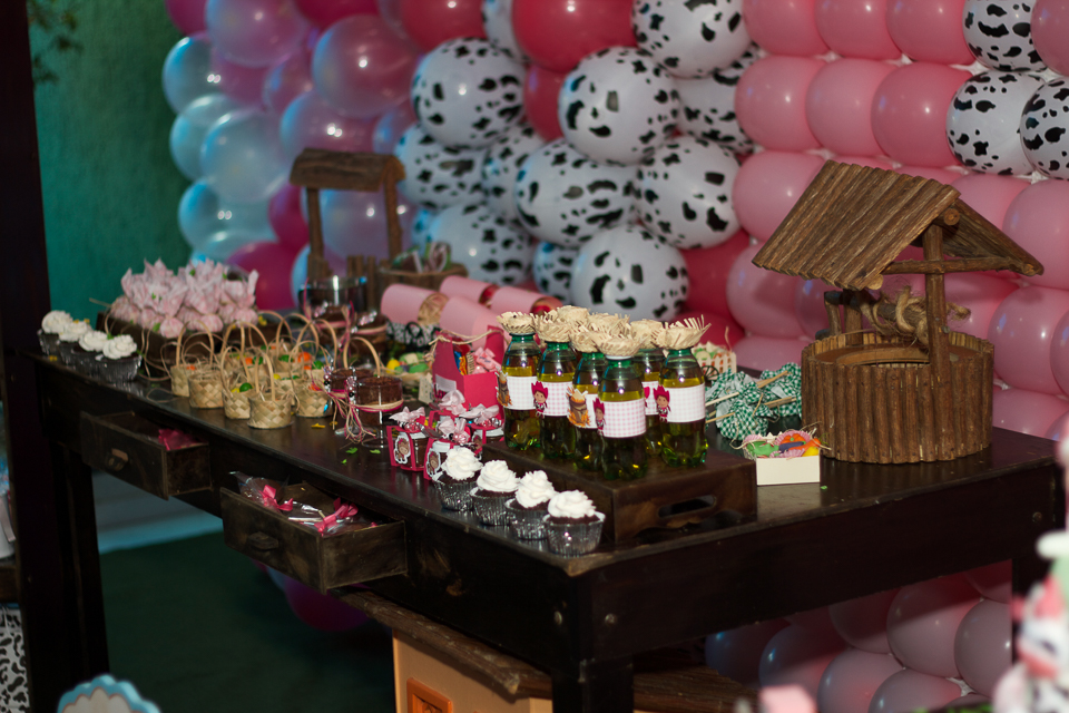 Mesa de guloseimas Fazendinha da Lara pelo fotógrafo Douglas Maia