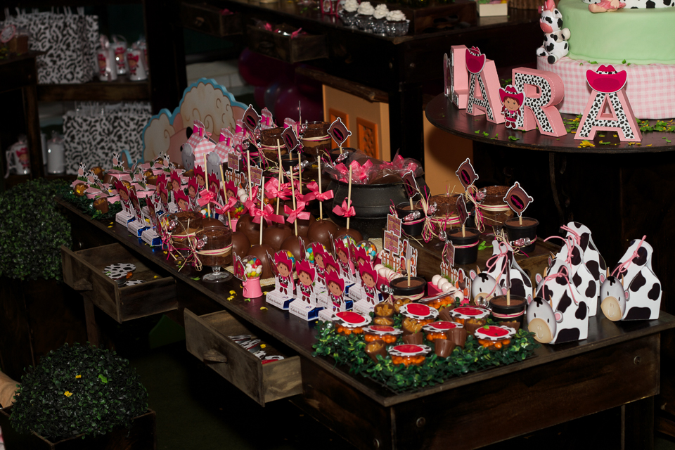 Mesa de guloseimas Tema Fazendinha pelo fotógrafo Douglas Maia