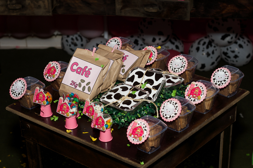 Saquinho,marmita e caixa com doces Tema Fazendinha da Lara pelo fotógrafo Douglas Maia