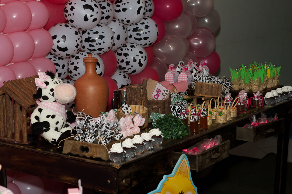Decoração mesa de doces Tema Fazendinha da Lara pelo fotógrafo Douglas Maia