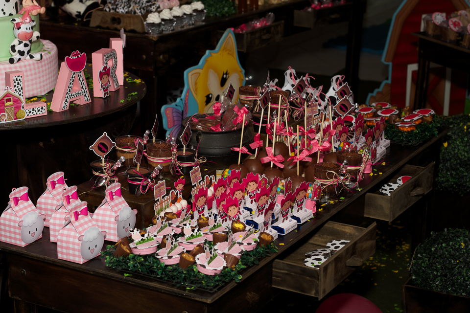 Fazendinha da Lara Mesa de doces pelo fotógrafo Douglas Maia