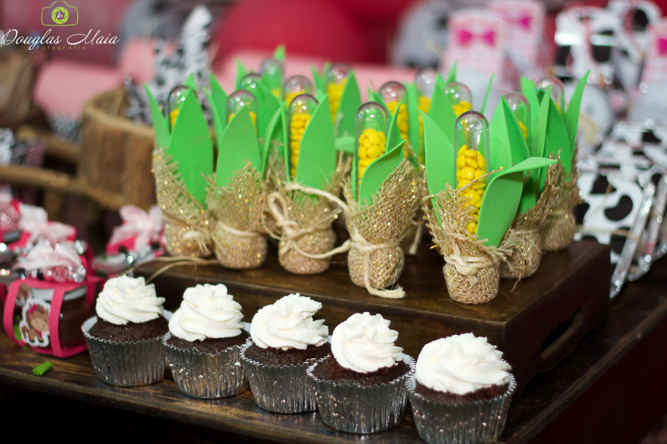 Tubete com bala Tema Fazendinha da Lara pelo fotógrafo Douglas Maia