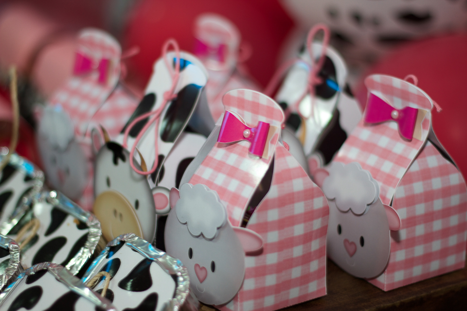 Scrapbook caixa Fazendinha pelo fotógrafo Douglas Maia