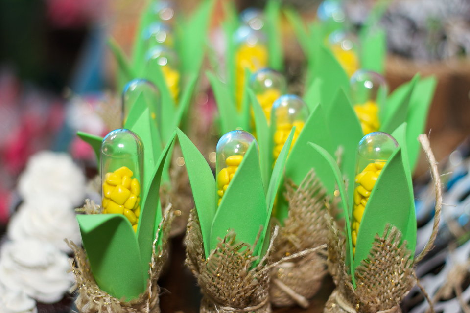 Tubete personalizado Fazendinha da Lara pelo fotógrafo Douglas Maia