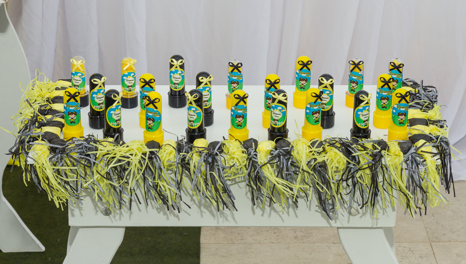 Scrapbook Tubete Tema Abelhinha pelo fotógrafo Douglas Maia