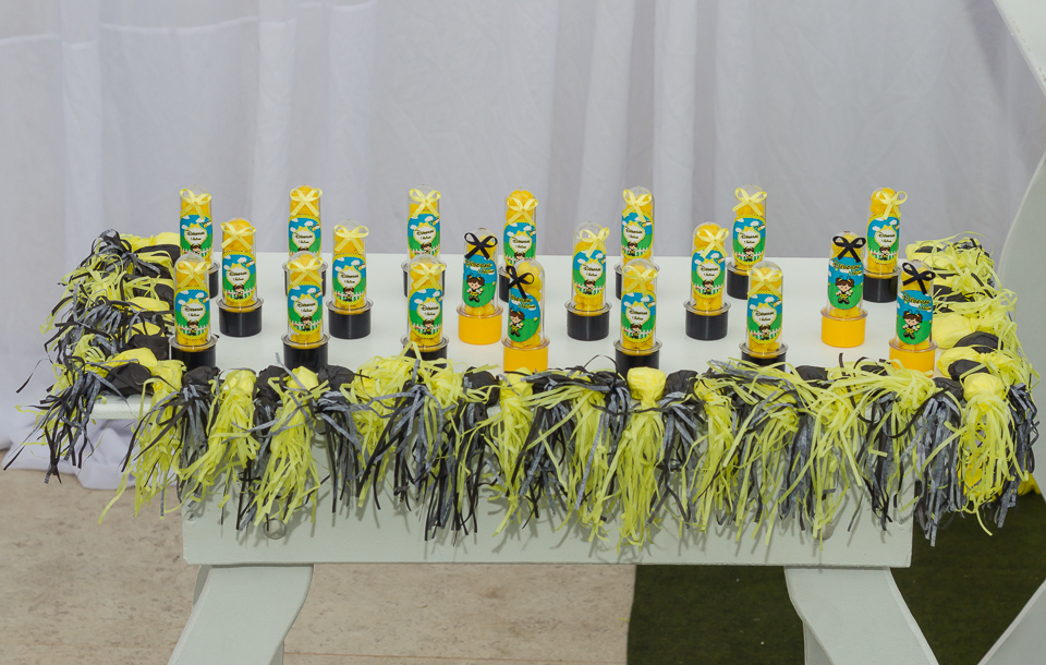 Scrapbook tubete amarelo Tema Abelhinha pelo fotógrafo Douglas Maia