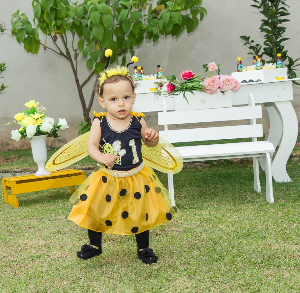 Abelhinha andando pelo fotógrafo Douglas Maia