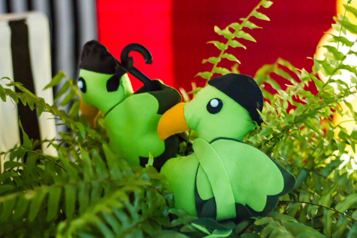 Papagaio na decoração Tema Marinheiro e Pirata pelo fotógrafo Douglas Maia