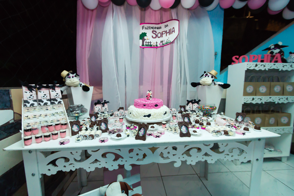 Decoração mesa do bolo Tema Fazendinha pelo fotógrafo Douglas Maia