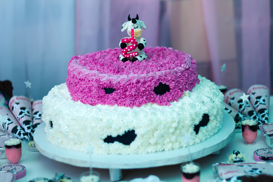 Bolo e doces Tema Fazendinha pelo fotógrafo Douglas Maia