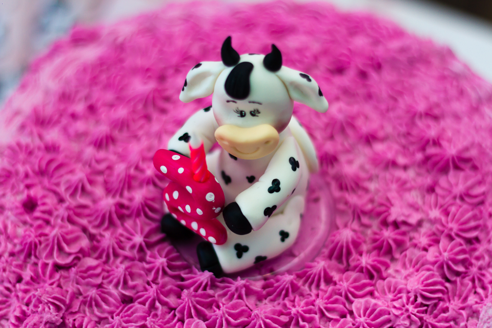 Vaquinha enfeita o bolo 2 anos Sophia Tema Fazendinha pelo fotógrafo Douglas Maia