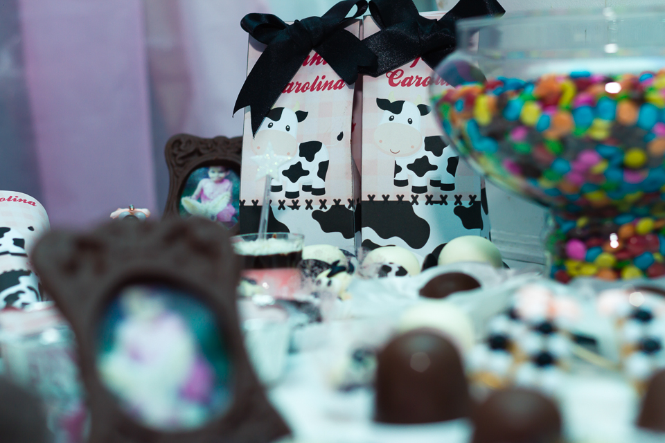Scrapbook caixa milk e bombons Tema Fazendinha pelo fotógrafo Douglas Maia