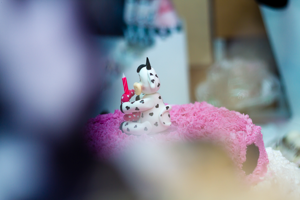 Vaquinha enfeitando o bolo Tema Fazendinha pelo fotógrafo Douglas Maia