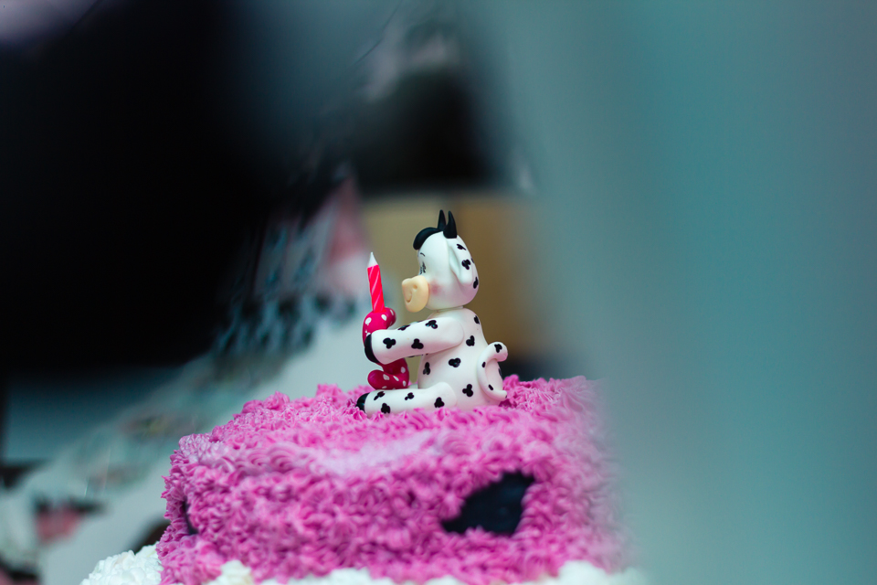 Vaquinha decora o bolo Tema Fazendinha pelo fotógrafo Douglas Maia