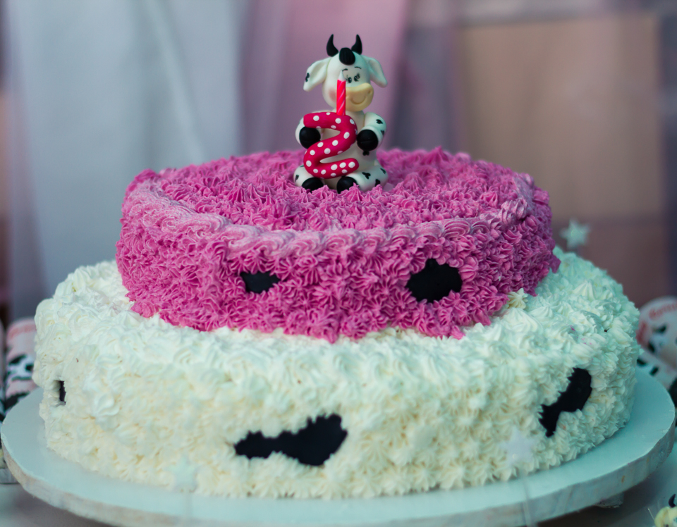 Bolo personalizado Tema Fazendinha pelo fotógrafo Douglas Maia