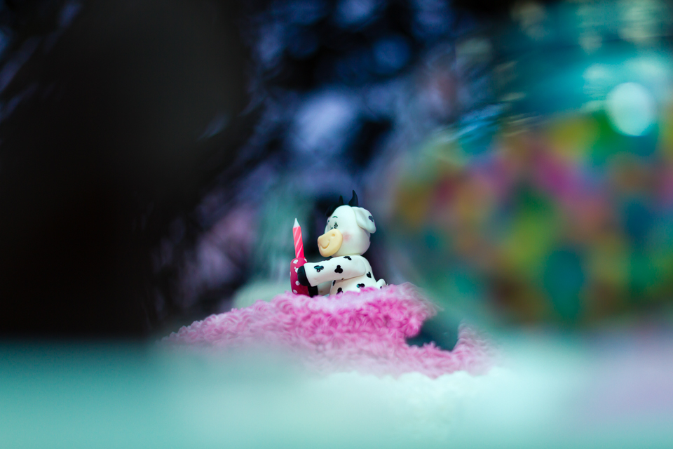 Vaquinha sorrindo enfeita o bolo Tema Fazendinha pelo fotógrafo Douglas Maia